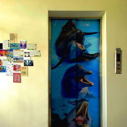 Dolphin Castle Bed & Breakfast Дунган Екстериор снимка